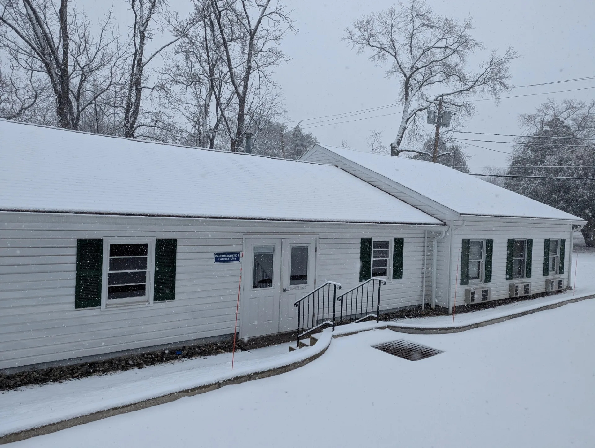 Lab in winter